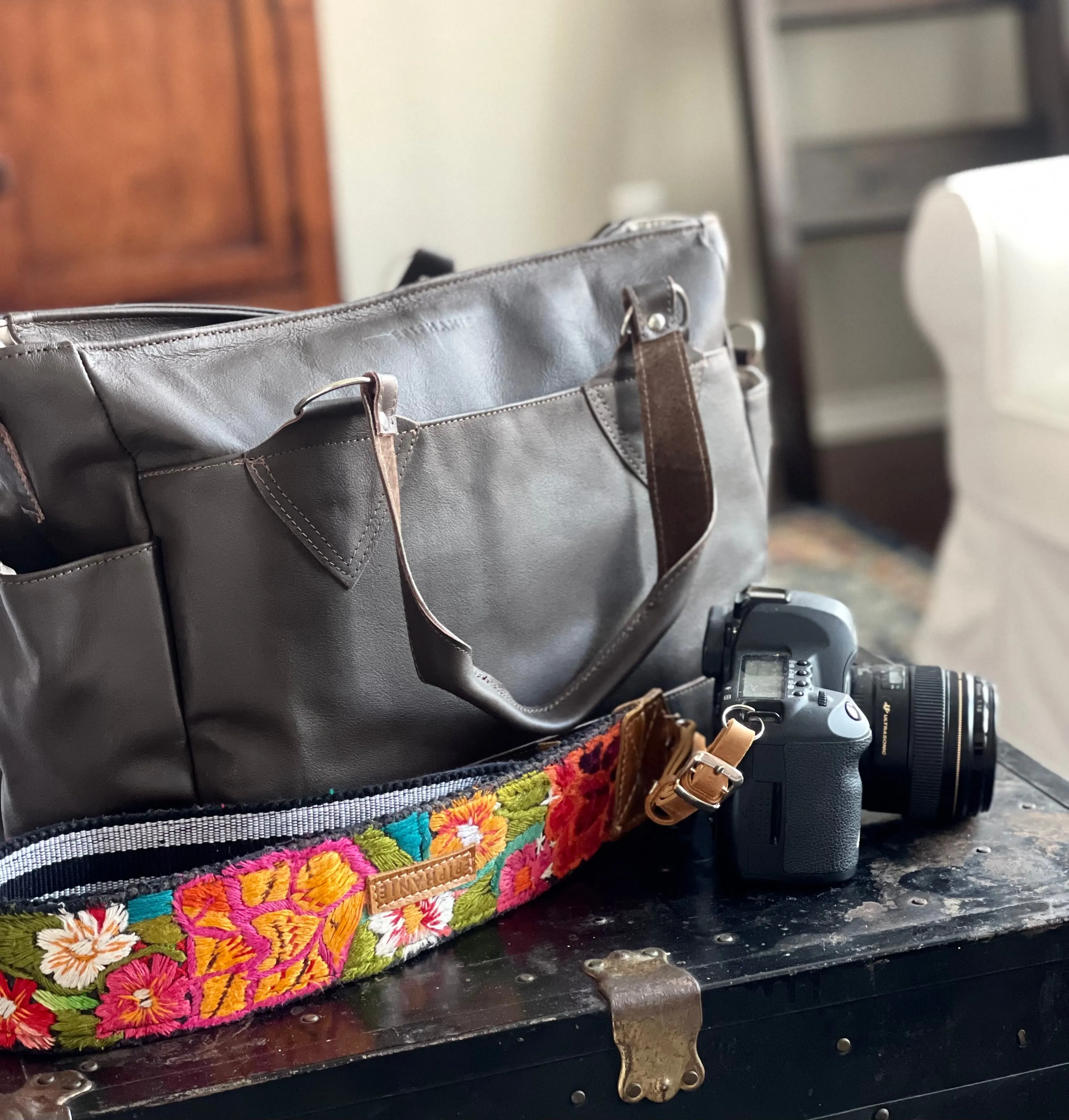 Santiago Camera Bag